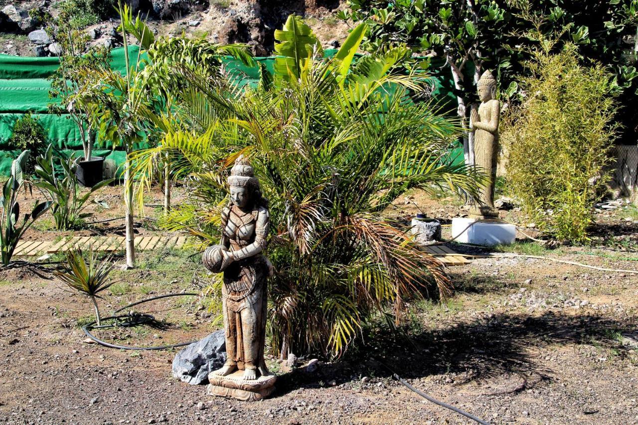 Finca Berolo 1 Guia de Isora  Ngoại thất bức ảnh