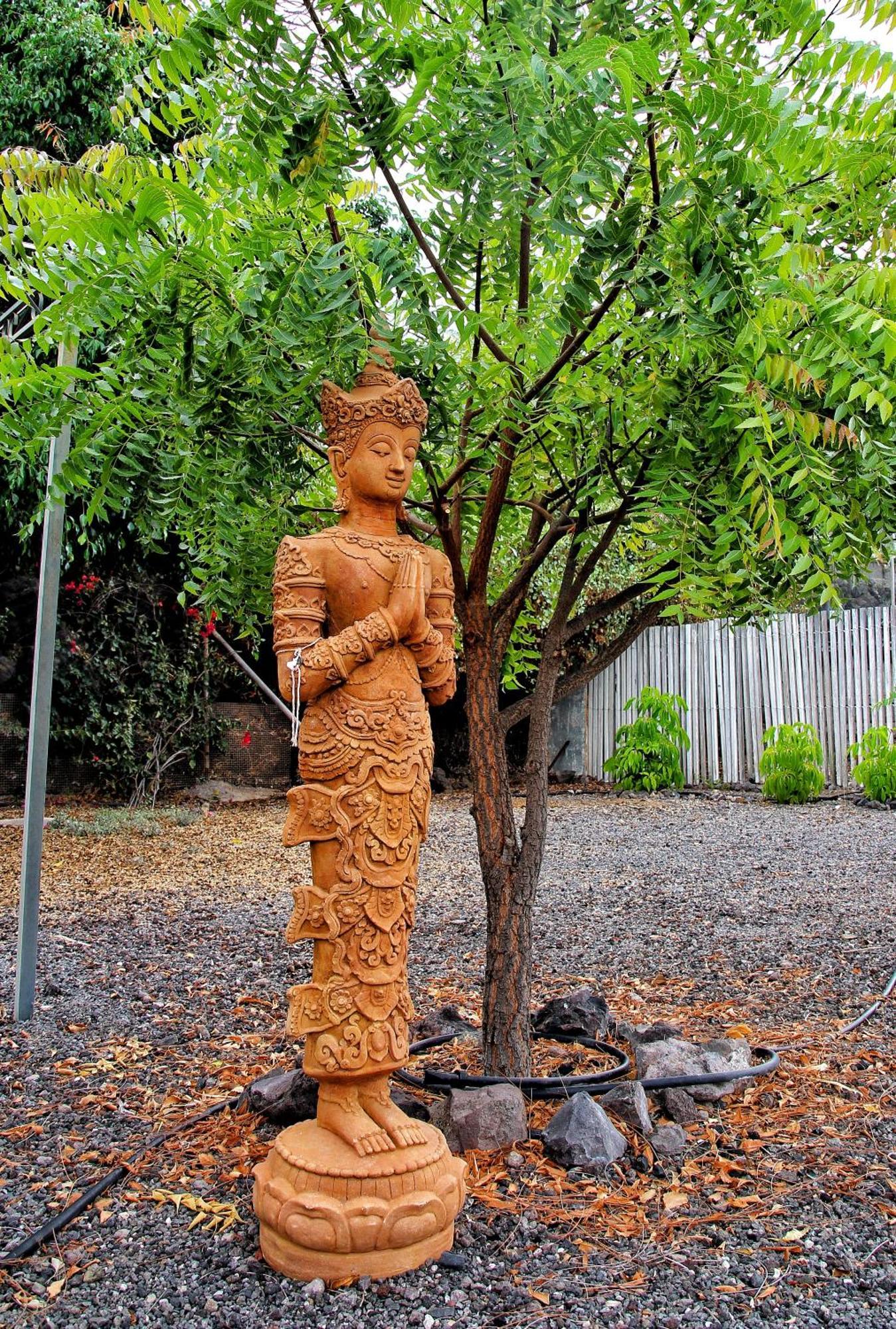 Finca Berolo 1 Guia de Isora  Ngoại thất bức ảnh